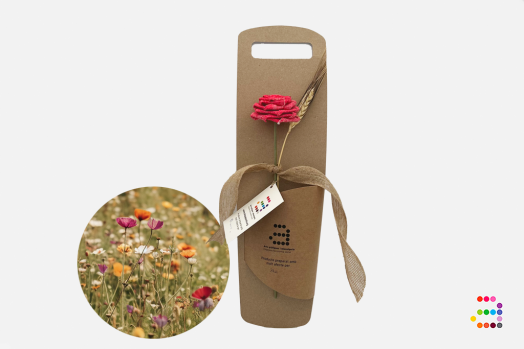 Rosa Ecofriendly